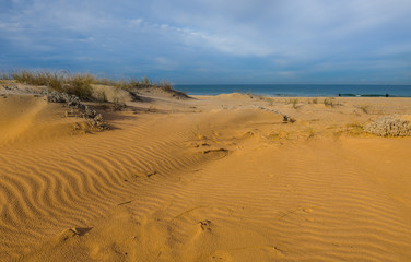 The Israeli dune. Ashkelon