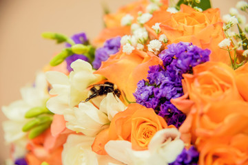 Incredibly beautiful bride with bouquet of roses. Big bumblebee in the bouquet of the bride. Long haired girl in wedding gown.