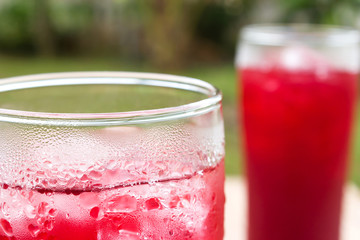 Closeup top of Roselle juice glass with ice. Traditional beverage. Herbal drink. Garden view. Beverage in red color.