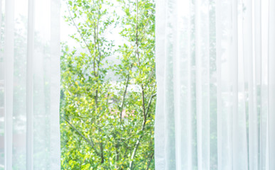 Blur of white curtain with window view / tree garden © hakinmhan