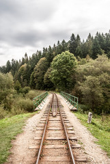 Fototapeta premium narrow-gauge railway with bridge and forest on the background near Cisna village in Biesczady mountains in Poland