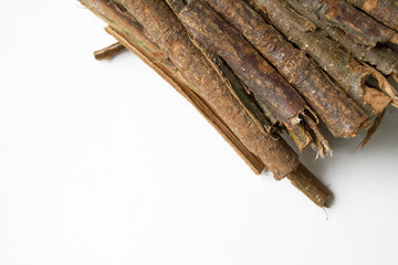 Dry oak bark on a white background. Quercus cortex. Quercus robur.