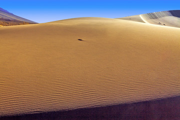 The golden dunes of the Singing Barkhan. National Nature Reserve Altyn-Emel, Kazakhstan