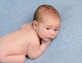 Adorable newborn baby lies on grey blanket