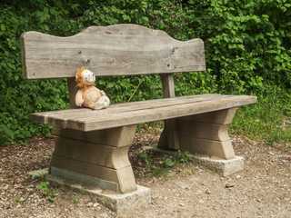 Toy teddy on wooden bench