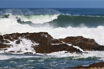 Fototapeta premium A big wave crashing into the rocks in the rough wild water of the ocean on a stormy during wintertime in South Africa.
