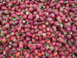 strawberries in market