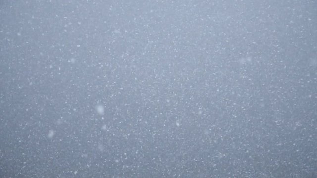 Snowfall on the background of the lake. Winter gray abstract landscape with snow. Abundant precipitation during the cyclone. Changing weather conditions. Slow motion
