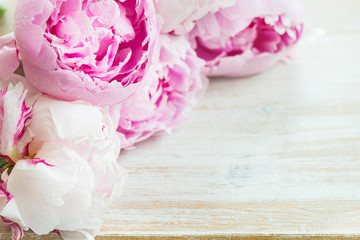 Fresh bunch of pink peonies