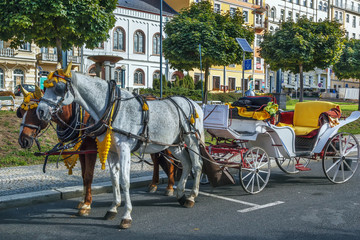 Plakat carriage in Marianske Lazne, Czech republic