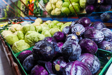 Fototapeta na wymiar Store bazaar of fresh farm products. cabbage set green, purple