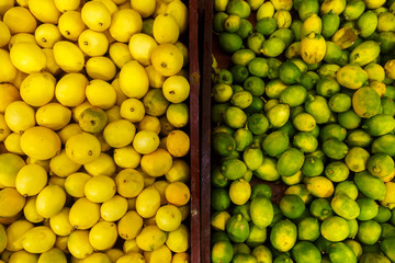 Store bazaar of fresh fruit. Yellow lemons and limes in boxes