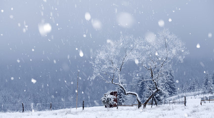 Trees covered with hoarfrost and snow in winter mountains - Christmas snowy backgroundic holiday background