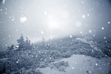 Trees covered with hoarfrost and snow in winter mountains - Christmas snowy backgroundic holiday background
