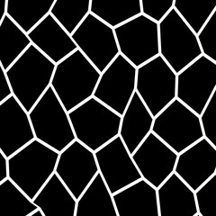 Obraz premium Black and White Irregular Mosaic Template