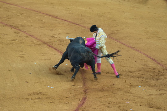 Bullfighter spagnolo