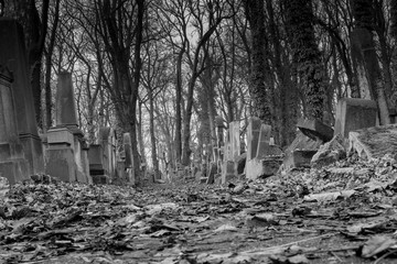 Jewish Cemetery in Krakow Poland