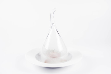 Smoked steak tartare served with egg yolk, onion, pickle, caper, mushroom and rocket salad on a white background