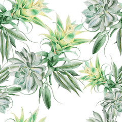 Obraz na płótnie Canvas Bright seamless pattern with succulents and leaves. Watercolor illustration. Hand drawn.