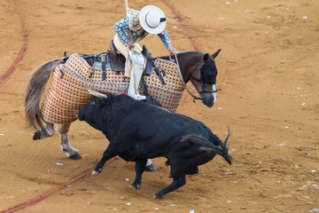 Fotobehang Stierenvechten Paarden hakselaar