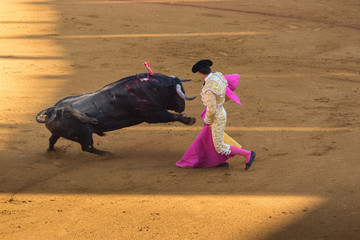 Torero durante una corrida.