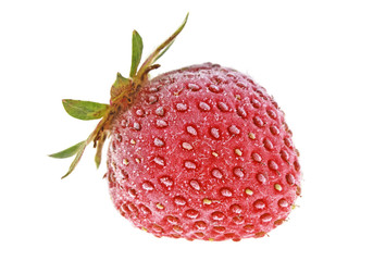 Frozen strawberry on white background
