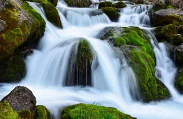 Zelfklevend Fotobehang algae, water and natural texture of the waterfall © emerald_media
