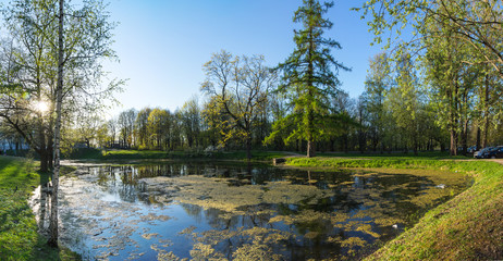 View of city park