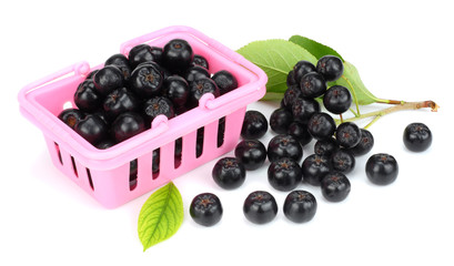 Chokeberry with leaf in pink shopping basket isolated on white background. Black aronia
