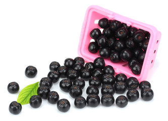 Chokeberry with leaf in pink shopping basket isolated on white background. Black aronia