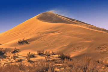 Fototapeta na wymiar The golden dunes of the Singing Barkhan. National Nature Reserve Altyn-Emel, Kazakhstan