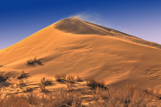 The golden dunes of the Singing Barkhan. National Nature Reserve Altyn-Emel, Kazakhstan