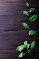 Leaves of green basil .Free space.Wooden background