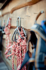 Knots tied to a safety rope and a carbine.