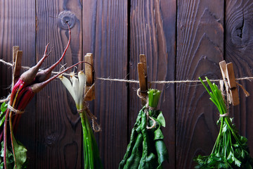 Fresh betroots, spinah, parsley green onion hanging on string.Wo