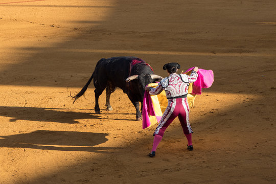 Bullfighter spagnolo