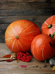 Autumn still life with pumpkins and rowan, fallen leaves.Closeup.Selective focus