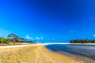 Kongo River in Afrika/Kenia