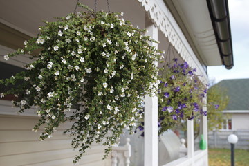 Front yard is beautifully designed garden