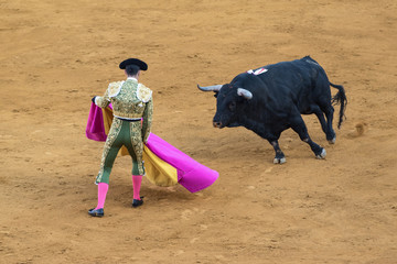 Bullfighter spagnolo