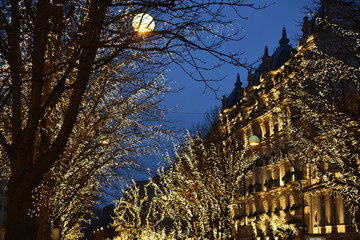 Arbres décorés de guirlandes lumineuses à Paris, France