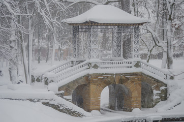 Morning after snowfall in Oleksandria Park - obrazy, fototapety, plakaty