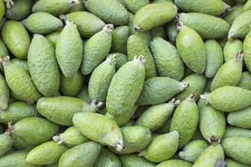 Tropical fruit feijoa (Acca sellowiana)