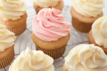 Tasty cupcakes on cooling rack