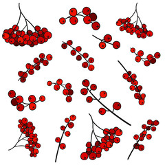 jarzębina © ZYTA.eM