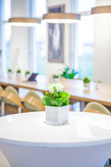 Restaurant interior