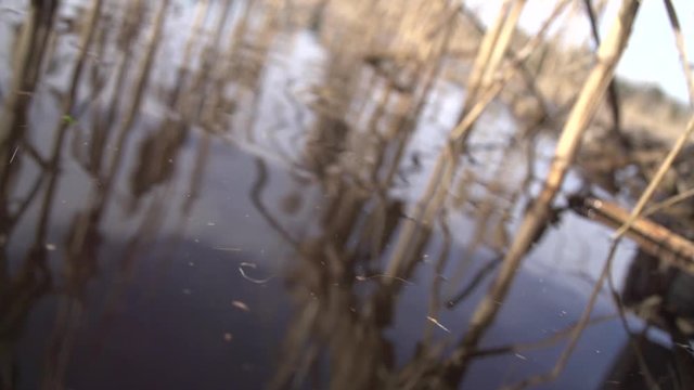 a empty shotgun shell hits the water