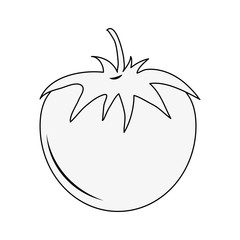 Tomato fresh vegetable