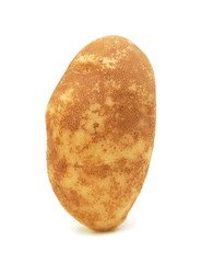 New potato isolated on white background close up