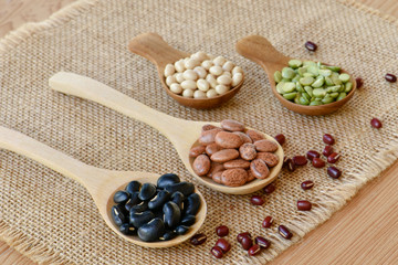 Fototapeta na wymiar Different dried legumes on wooden spoon, Prepared dried bean for cooking
